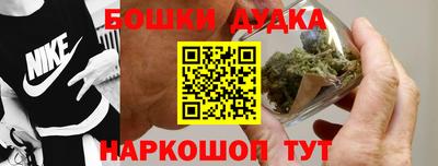 гидра Кинель