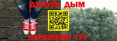 гидра Кинель
