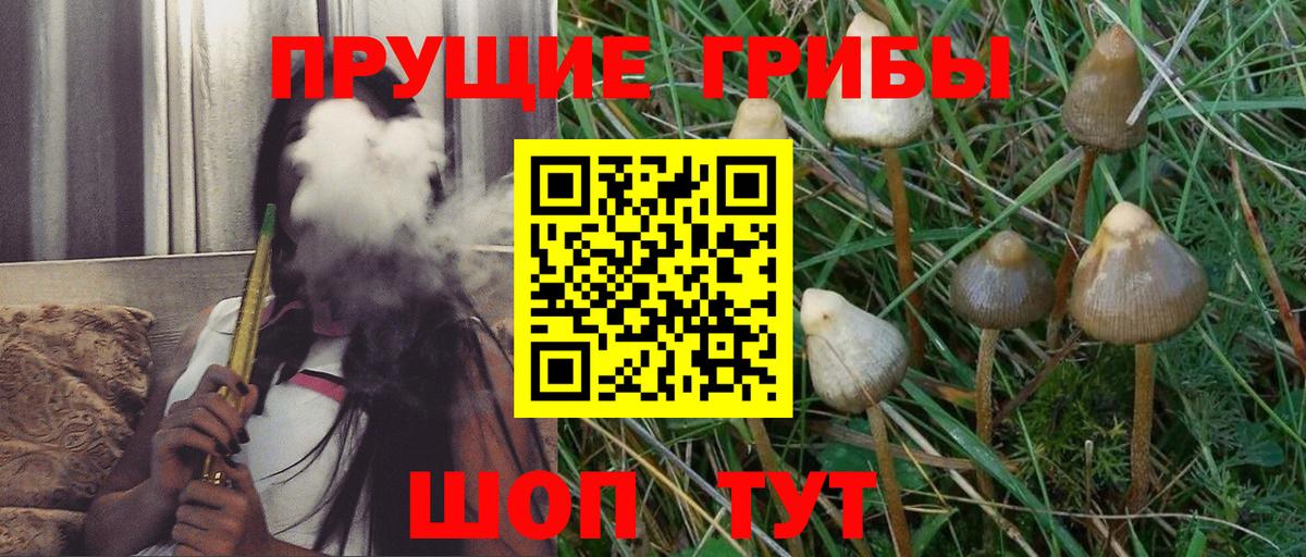 Псилоцибиновые грибы Cubensis Коммунар